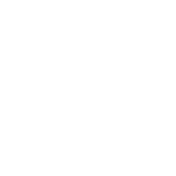 Igneous ERP Favicon White